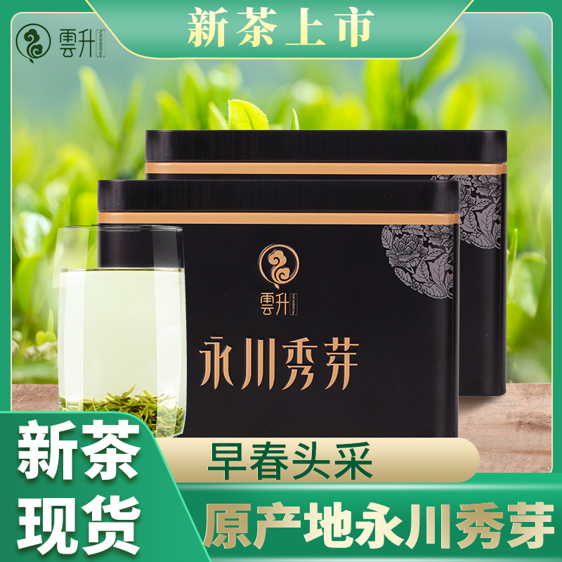 Yunsheng Yongchuan Xiuya 2021 New tea Early spring Sunshine cloud green tea Chongqing specialty black pot 100gx2