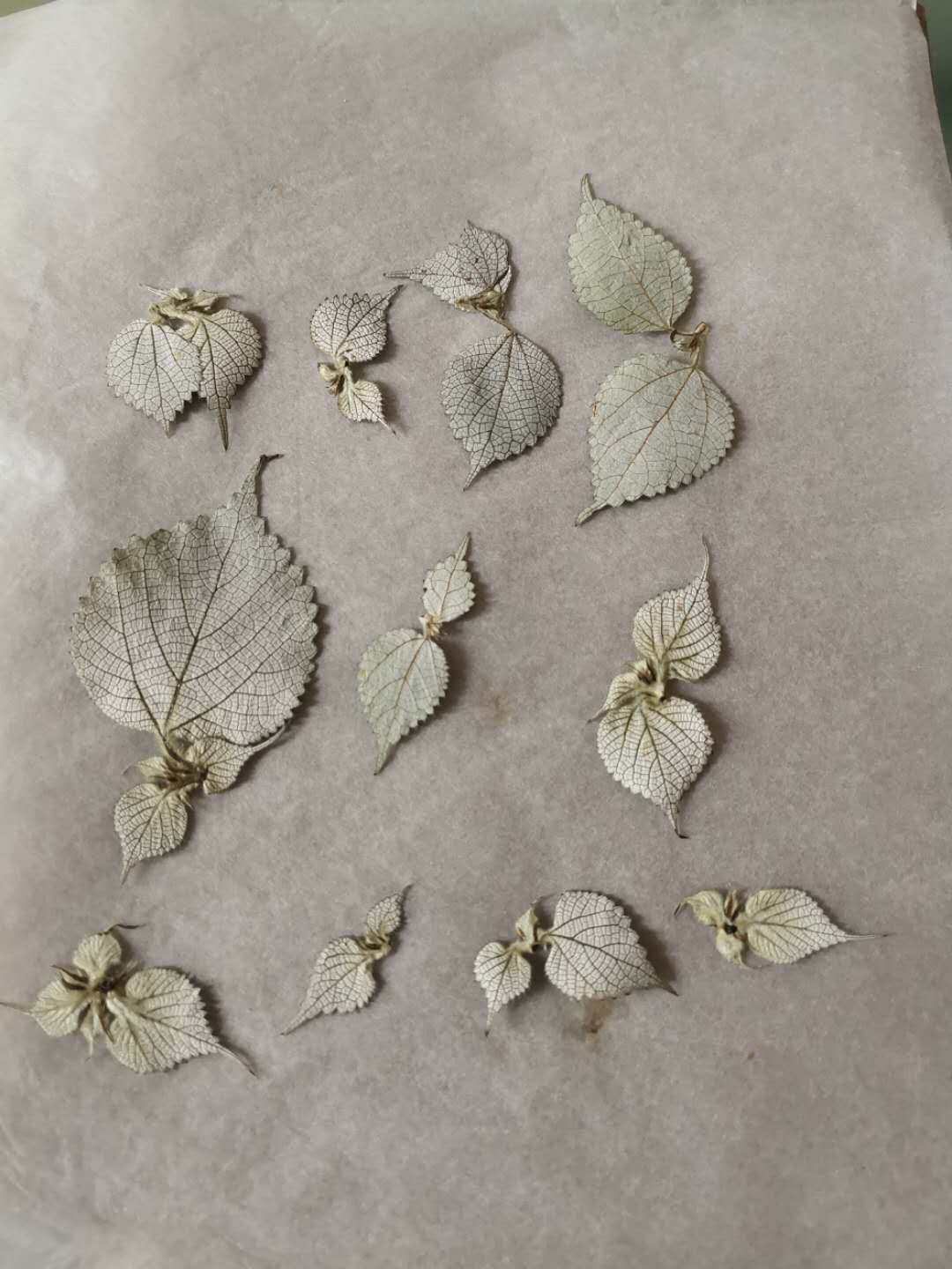 Smart Valley Artisanal Classroom Creative Embossing Table Lamp Dry Flower Embossed raffen Hemp Flower material Dry flowers Flowers-Taobao