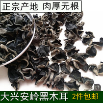 Northeast Daxinganling wild black fungus dried autumn fungus small bowl ear thick and rootless 250g 2 pieces