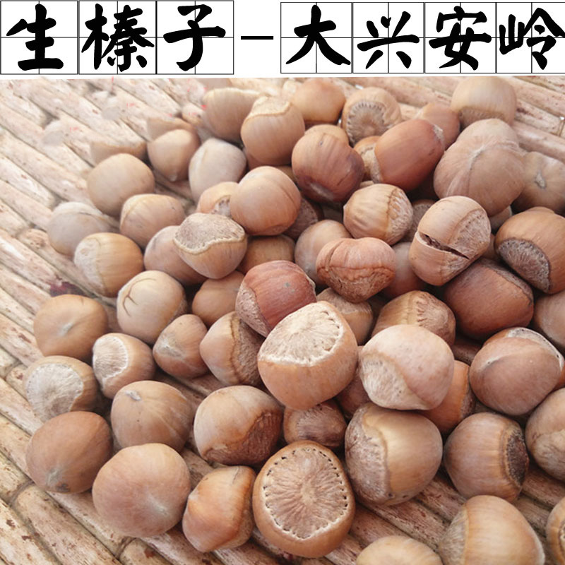 Northeast raw hazelnuts Wild hazelnuts original flavor 250g pregnant nut snacks Bulk hazelnuts