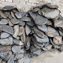 Native stream stone natural stone schist schist shale rock flat turtle climbing basking stone fish tank landscaping main stone bottom sand