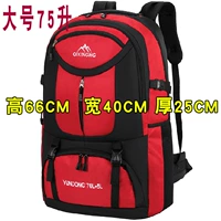 Красный, коллекция 2021