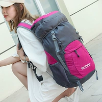 Красная роза