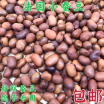 Pigeon with French imports a small silkworm bean pigeon brace for a rise in somersault and a young pigeon special nutritious food bird food for 50 kilos