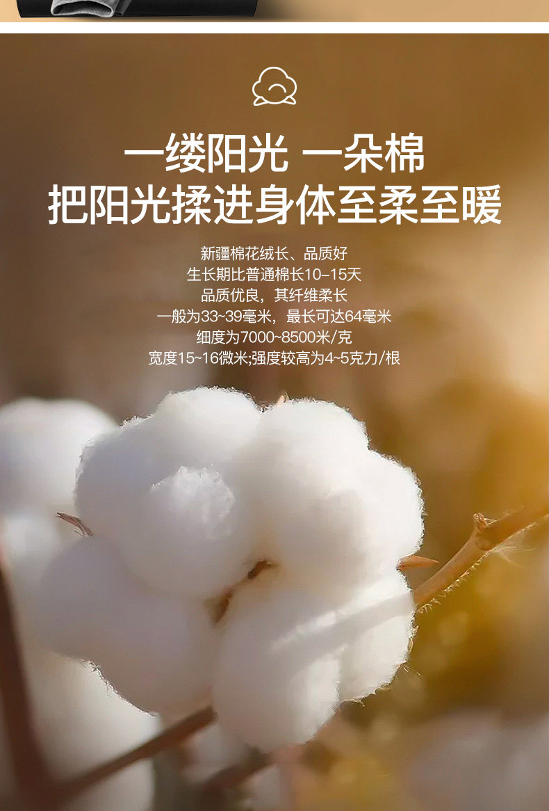 七匹狼 100%新疆棉 男式秋衣秋裤内衣套装 天猫优惠券折后￥69包邮（￥99-30）圆领、中高领多款多色可选