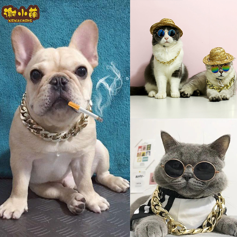 Pet Gold Necklace Cat Dog Gold Chain Collar Teddy French Dog Ring Cat Ring Pet Jewelry Necklace
