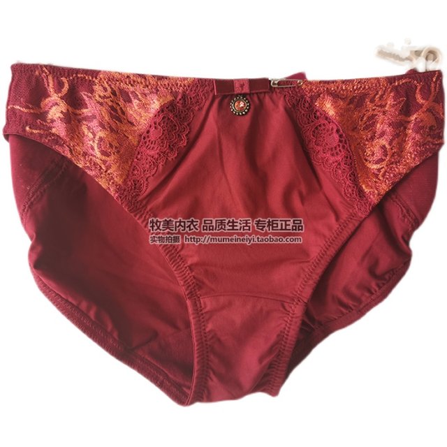 Triumph Valisere Youth Embroidered Lace Brief Sexy Low Waist B75-363