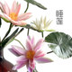 High-end simulated hand wet feeling single water lily lotus PU lotus leaf Chinese style national style artificial floral decoration