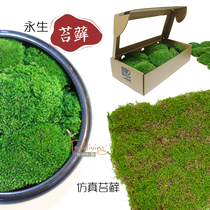 Simulation of immortal fresh-keeping moss block green plant wall turf model room balcony ground meditation landscape floral decoration