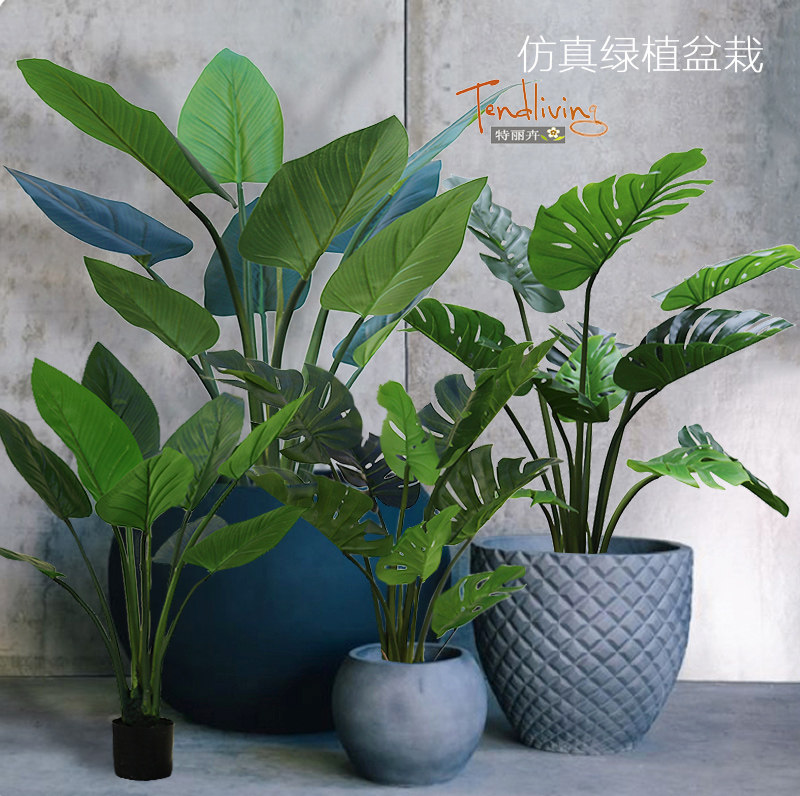 Emulated tortoise back artichoke Green emperors turquoise leaves green plant Nordic Chinese Balcony Corner Shop Windows Potted Fake Tree Furnishing