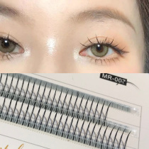 racheel fairies fur sunflowers fairy false eyelashes A type upper eyelash single-cluster eyelash natural grafting beauty mascara