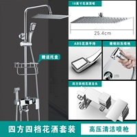 D2 Функциональный стандартный душ [10 -INCH Top Spray]