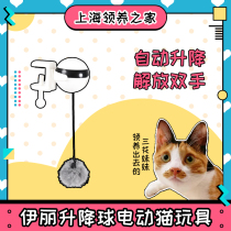 Eli pet pet cat toy amuse cat toy Yo-Yo lift ball electric cat toy interactive toy