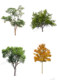 Ps Garden Landscape Plants Png Cutout Green Trees Facade Trees and Trees Architectural Renderings Design Materials