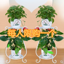 European-style flower stand iron multi-storey indoor floor-standing green flower shelf living room balcony hanging orchid household floor