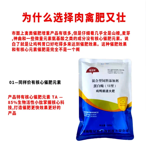 Птичья птичья птицеводство звери