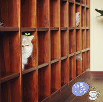 CM Cest Moi (2018 new catalog)