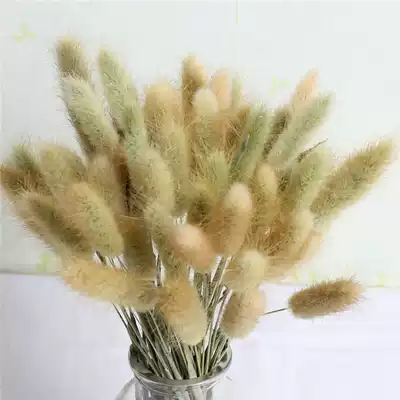Yunnan dried flower bouquet ins wind natural dried flower rabbit tail grass gem grass Home decoration office decoration simple wind