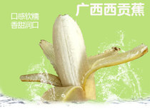 Guangxi Special Produce Powder Banana 5 catties Saigon Banana Fresh Fruit A Box Banana Non Hainan millet Banana Wild Plantain