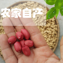 2021 peanut rice raw fresh this year red pistazia peanuts rice sunburn for 5 catties pregnant women Peanut Rice With Shell