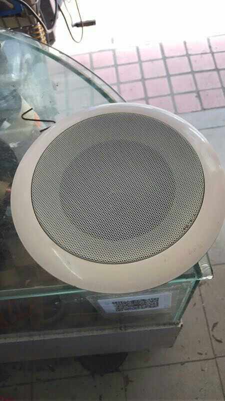 Smallpox Acoustics Embedded Suction top loudspeaker Store Home Clothing Mall Suspended Ceiling Public Broadcasting Background Music Horn