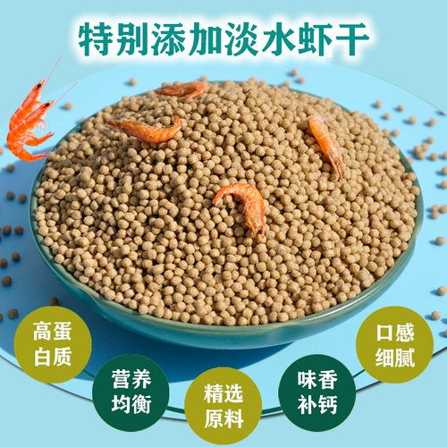 Рыба для корма Brocade Goldfish Food Food Маленькие частицы плавают на мелких частицах рыбы, рыбных ингредиентов, рыб и попугай.