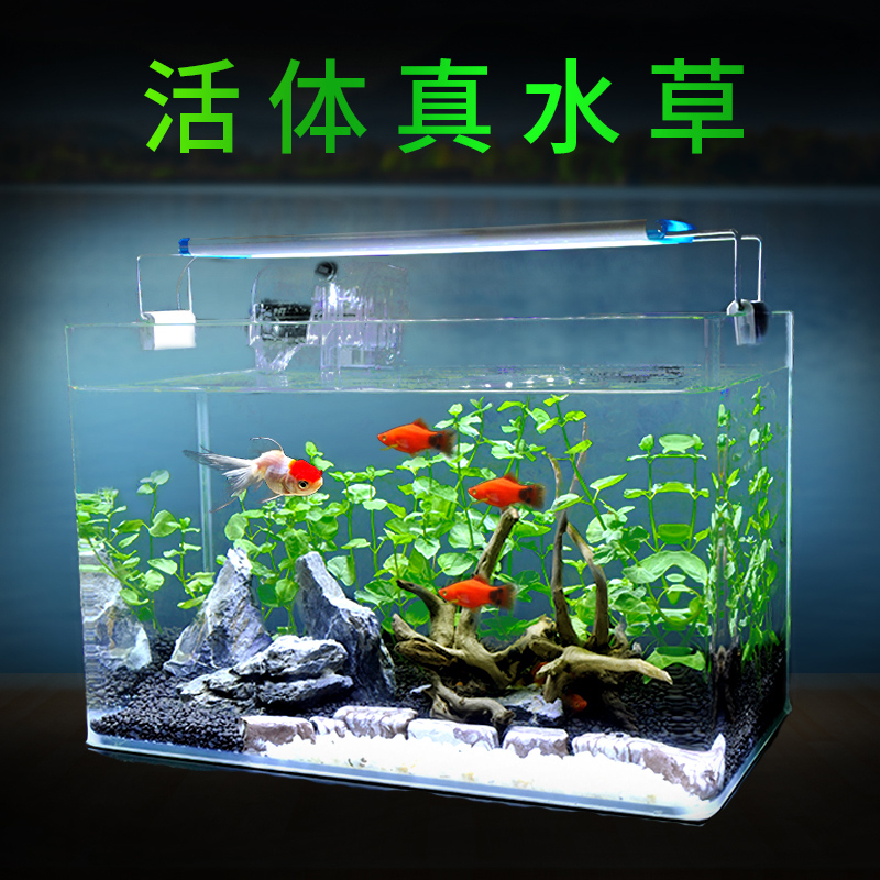 Lake and mountain real water plants decorative glass fish tank Aquarium Small desktop mini ecological living room Household