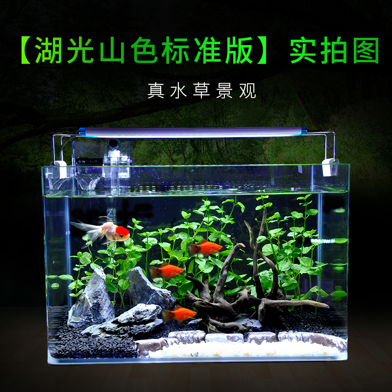 Lakes And Mountains Really Water Plants Decorative Glass Fish Tank
