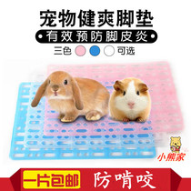  Pet footbed rabbit guinea pig Dutch pig dragon cat special wellness pedal refreshing base plate