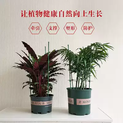 爬藤架花架园艺支架植物攀爬架铁艺支柱室内外月季铁线莲葡萄花架
