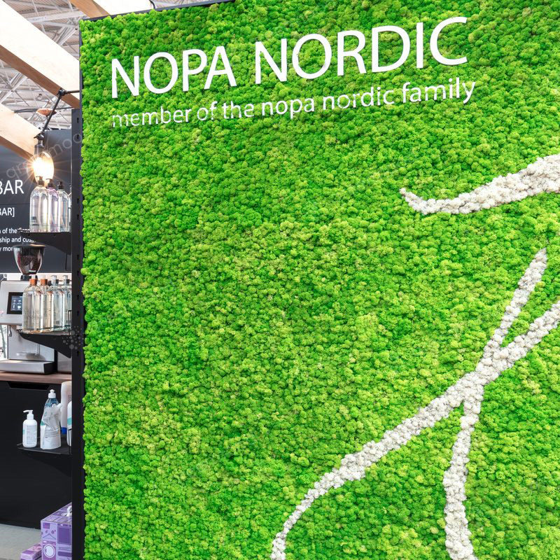 Immortalized bryophytes decorative deer moss white hair moss micro-landscape green plant wall background wall simulation bryophyte wall