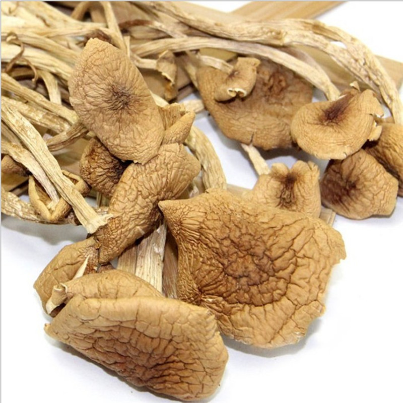 Fujian Gutian Special Produce Yellow Noodles Open Umbrella Tea Tree Mushrooms Dry Goods Natural Tea Pay Mushrooms Ice Mushrooms Ice Mushrooms tender 250g