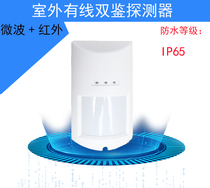 Outdoor wired dual-detection wall-mounted infrared detector waterproof grade IP65 pet-proof anti-theft intrusion alarm