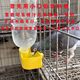 Pigeon bird water dispenser food box pigeon cage hanging box drink bottle auto water dispenser water feeder hanging material box