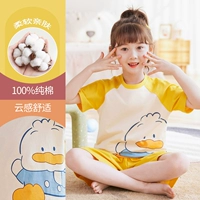 DNY347 Yellow#2K (модель основной картинки)