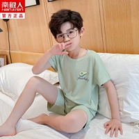 DNY207 Авокадо (мальчик)#5n