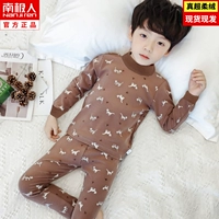 DNY182 котенок Brown#5n