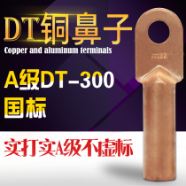 Copper nose DT-300mm terminal block copper connector wire lug electrical cable connector national standard a 300 square