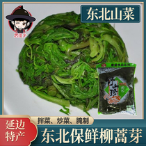 Shengkang Northeast Wild Mountain Cai Artemisia Bud Bag Fresh Mountain Wild Vegetable Dip Pickles 750g