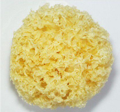 Tremella Gutian Tremella Dried Ears Waxy Ears 350g