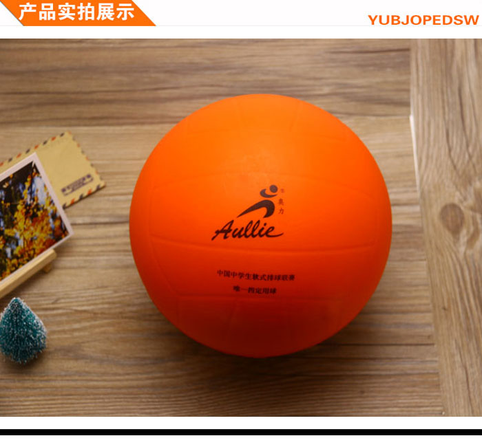 Ballon de volley - Ref 2012834 Image 7