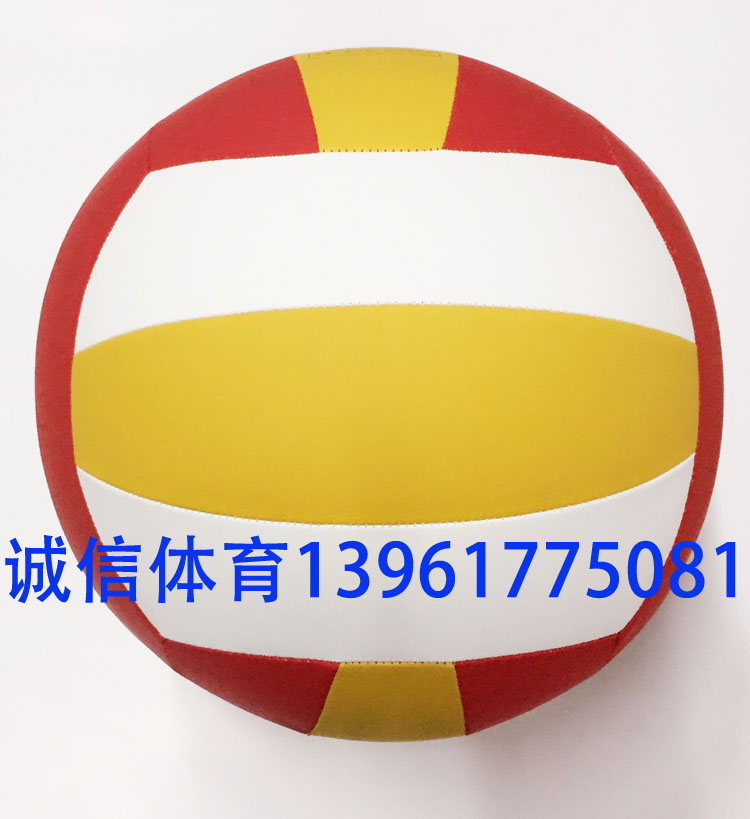 Ballon de volley-ball - Ref 2010112 Image 8