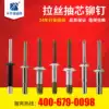 Stainless steel brushed rivets 4 8 6 4 9 8 inner lock 304 brushed rivets Distribution cabinet rivets 316 brushed rivets