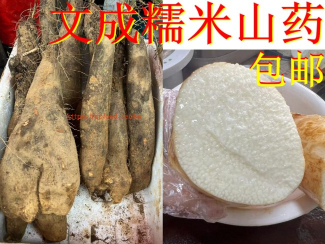 5 catty of fresh glutinous yam farmyard fruits and vegetables Wencheng Dairy sweet potato white board powder glutinous Zihuai Mountain medicine soft glutinous tasty-Taobao