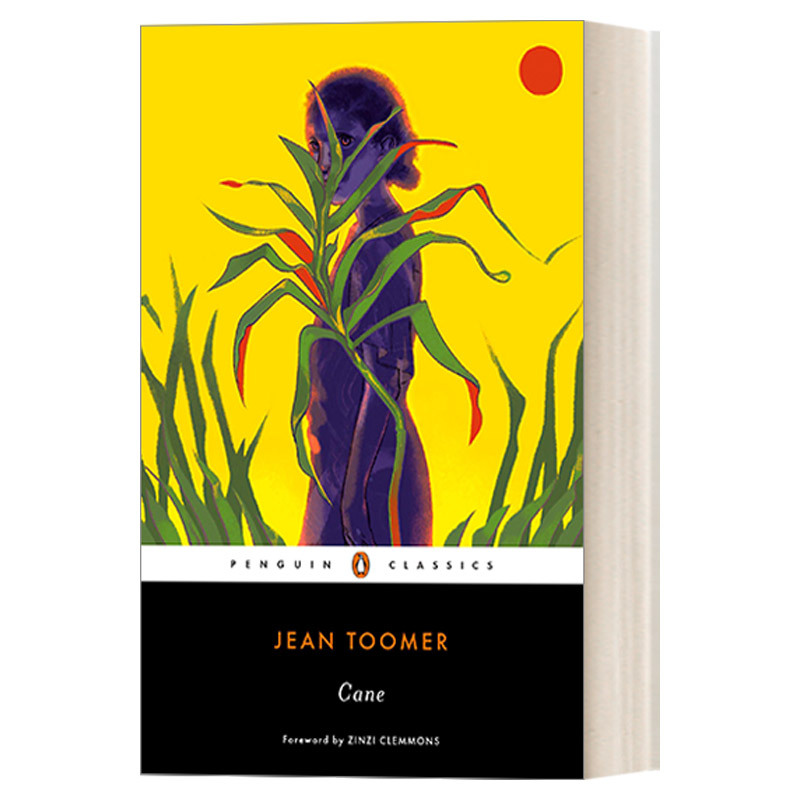 English Original Novel Cane by J.G. Thomor, Penguin Black Classics, English Edition, Imported English Original Book