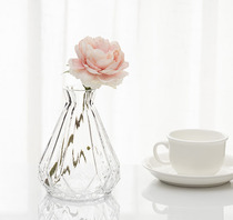 Minimalist a flower glass vase transparent water pewter table top table modern decoration little freshener