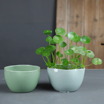 Minimalist cute flower pot without pore water pewter small frescoed tabletop bronze money grass green loo green plant flower bowl pendulum piece