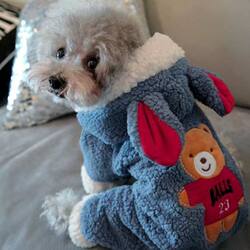 Pet Pomeranian Bichon Schnauzer Poodle Teddy Dog Clothes Autumn and Winter Clothing for Puppies and Cute Dogs