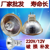 Lamp cup 12v low voltage pin halogen tungsten lamp Ceiling light source 35W50WMR16 quartz halogen spot light bulb super bright