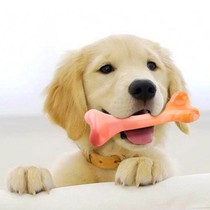 Dog teething stick bite-resistant teething toy to remove bad breath small medium and large dogs universal simulation of chewing bones